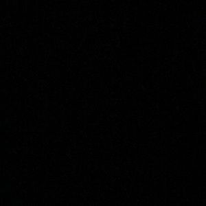 Meet your Posher, Brodie